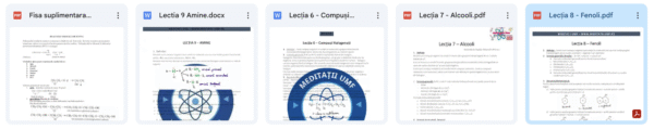 Lecții de teorie - modul 2 - acces online