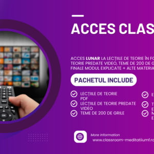 Purple-White-Modern-Premium-Streaming-Access-Facebook-Ad-300x300 Coș